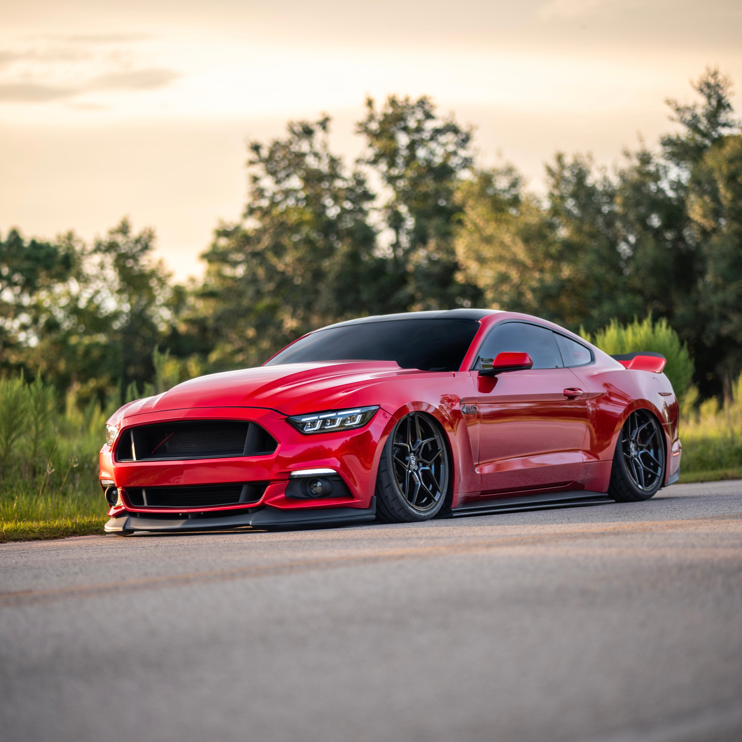 15-17 Mustang