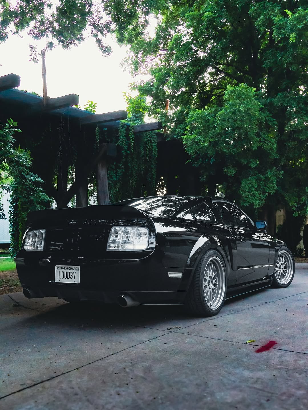 Customer photo